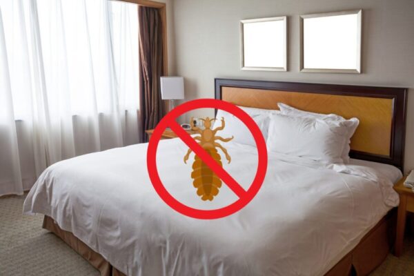 wymrażanie pluskiew InsektStop