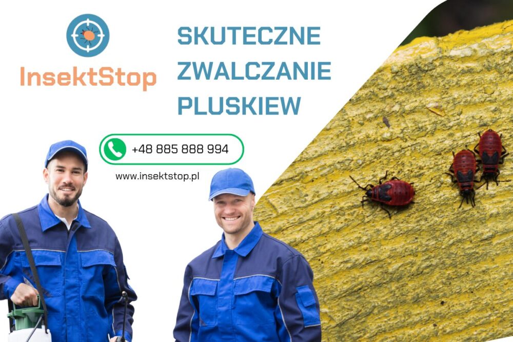  insektstop.pl dezynsekcja odpluskwianie 