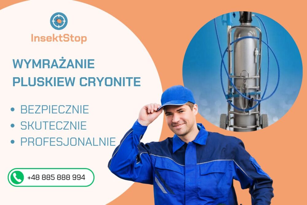  zwalczanie pluskiew insektstop.pl 